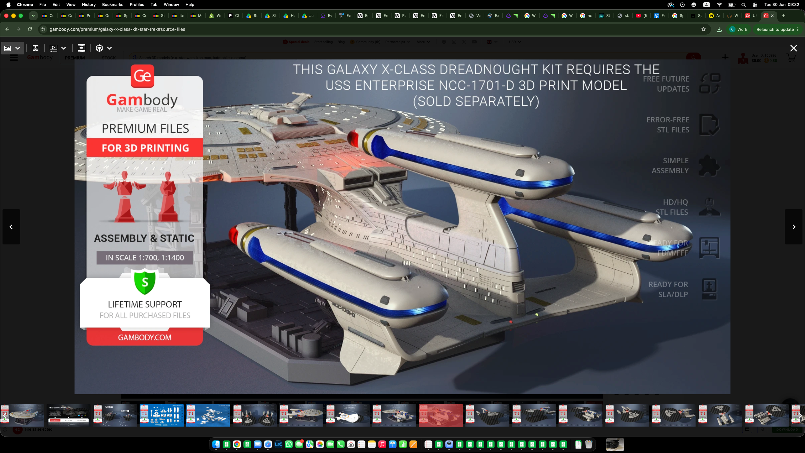 USS Enterprise NCC-1701-D "All Good Things" Dreadnought Class  / Custom Print for Allan Hilton
